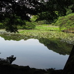 手打ちそば　極楽乃 - 