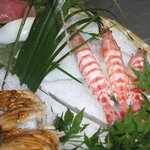 寿司 生簀料理　割烹 大学 - 