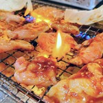 Ganso Amiyakidori Mampuku Shokudou - はらみ