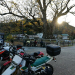 Arina Shi Kohi - バイク駐車場