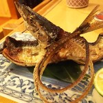 食酒屋やまさき - 