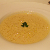 XEX TOKYO / Salvatore Cuomo Bros. - 