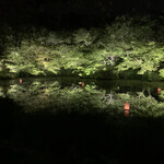 御宿 竹林亭 - 夜の公園