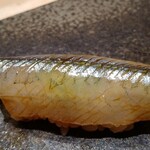 寿し おおはた - 