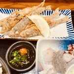 Sakana To Sake Hanatare - 