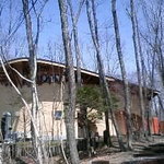 森の中のレストラン こどう - 