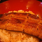 うなぎ屋酒坊・画荘 越後屋 - 24年7月　鰻重　岡山天然物