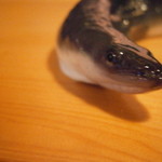 うなぎ屋酒坊・画荘 越後屋 - 24年7月　活きがいいねぇ～