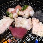 やきにくポッサムチプ - 2012.7.28(土)18時訪問 塩ホルモン盛合せ抜群の美味しさ＼(^o^)／