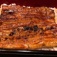 うなぎ割烹 大江戸 - うな重しもづき
