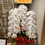 和牛 まつした 吟匠邸 - 老人と花の命は短いけれど、この店は長きに渡り繁盛することでしょうねー