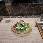 Morino Teppan Dainingu Maruyamaen - サラダ