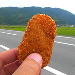 こんな感じの大きさ