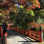 ザ キッチン サルヴァトーレ クオモ - 