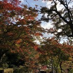 ザ キッチン サルヴァトーレ クオモ - 