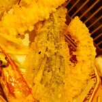 Tempura Kassen Sake Dokoro Heso - 天ぷら盛り
