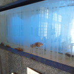 ざこや - いけす