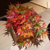 杦 - 