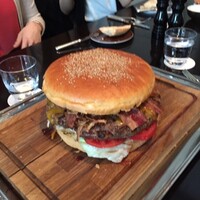 オーク ドア -  オーク ドア -