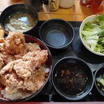 Karaage Hitosuji - 