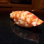 鮨 あらい - 車海老