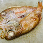 さくらさくら - 