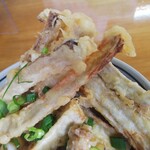 満所茶屋 - キャンプファイヤーでもするのですか？