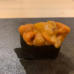 はっこく - すでにトロけている雲丹