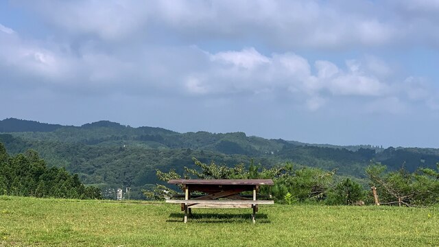 レストラン ラトリエ（【旧店名】モロヘイヤ） - 本塩釜（ビストロ）の写真