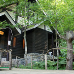 珈琲 森の時計 - 