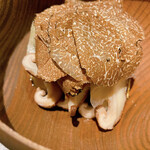 フロリレージュ - 椎茸