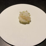 フロリレージュ - アオリイカ