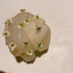 フロリレージュ - アオリイカ