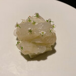 フロリレージュ - アオリイカ