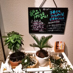 路地裏イタリアン ミモザ - 