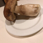 マッシュルーム - イタリア産ポルチーニ