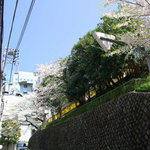 Sakura Kan - 三分坂の桜