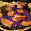 炭火焼肉 黄金のホルモン