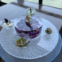 スミレオオサカ - 