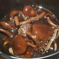 霜止出苗 - 