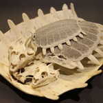 プレゼンテ スギ - 