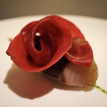 プレゼンテ スギ - 