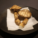 プレゼンテ スギ - 