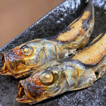 有限会社桝屋酒店   - うるめいわし