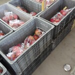 さみず農産物直売所 - 