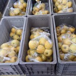さみず農産物直売所 - 