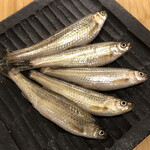 ひさご寿し - ホンモロコ