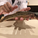 ひさご寿し - カマツカ