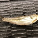 ひさご寿し - ホンモロコ