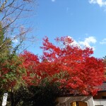 ベーカリーツキヨシ - 